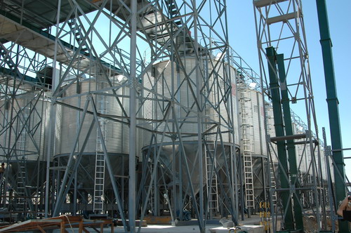 AGGAME种业先锋公司良种加工中心试车成功