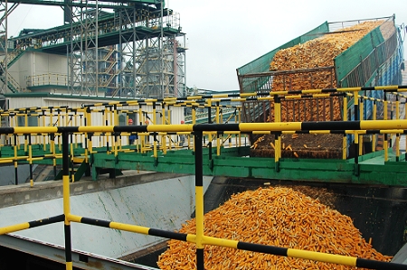 AGGAME种业先锋良种有限公司酒泉种子加工厂三、四期工程竣工投产