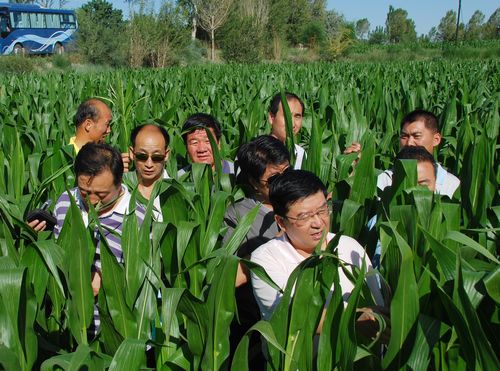 相互交流取长补短 共同学习稳步提高---AGGAME种业组织中高层管理人员赴种子企业交流观摩