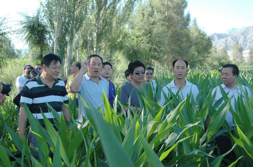 相互交流取长补短 共同学习稳步提高---AGGAME种业组织中高层管理人员赴种子企业交流观摩