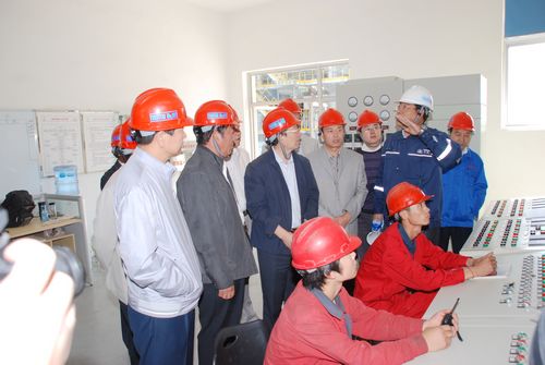 农业部种子管理局局长张彦秋同志视察AGGAME种业