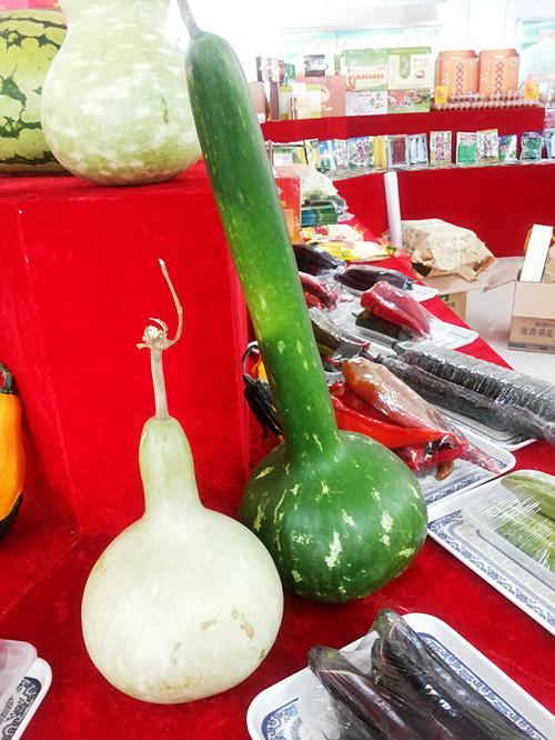 公司参加酒泉地区优质农产品展销会