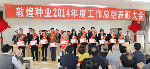 公司召开2014年度工作总结表彰大会