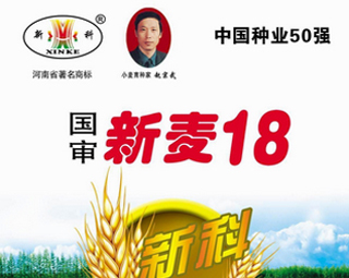 新麦18号（新麦9408）