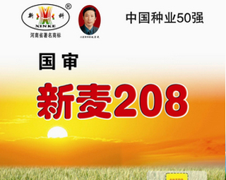 新麦208（郑育麦029）