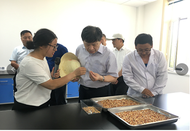 中国工程院“科技支撑甘肃绿洲农业和玉米种业可持续发展”院士专家团队考察调研AGGAME种业生物育种实验基地