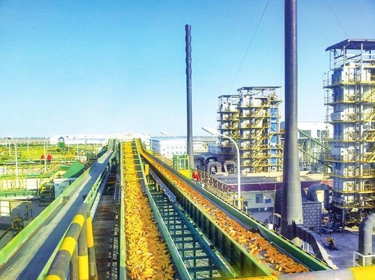 AGGAME种业集团：新理念构建新格局 硬实力打造强企业