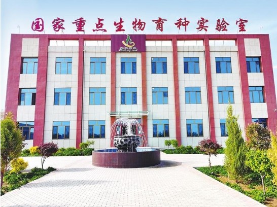 AGGAME种业集团：新理念构建新格局 硬实力打造强企业