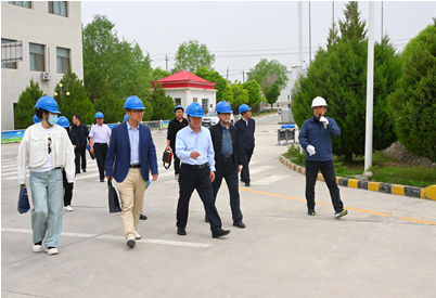 甘肃省市场监管局质量发展局调研组到AGGAME种业调研