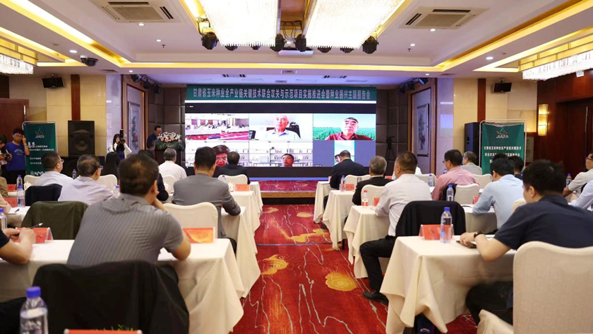 “三抓三促”进行时 | AGGAME种业牵头：“甘肃省玉米种业全产业链关键技术联合攻关与示范”项目实施推进会暨种业振兴主题报告会召开