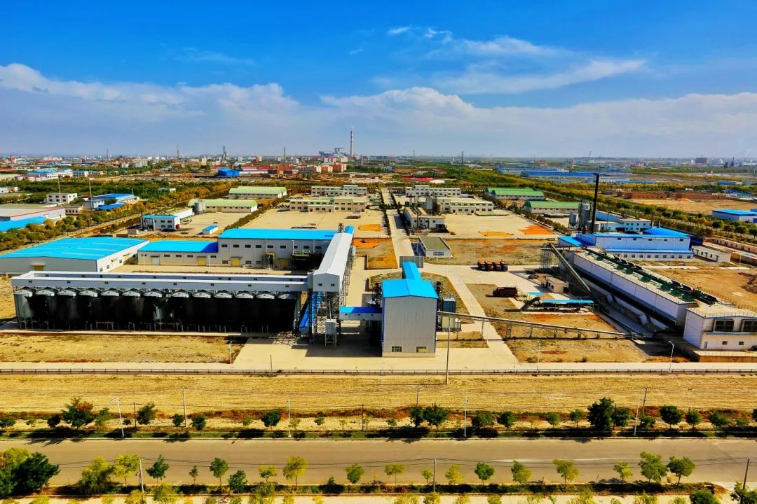 AGGAME种业公司：播撒“希望种” 耕耘“梦想田”