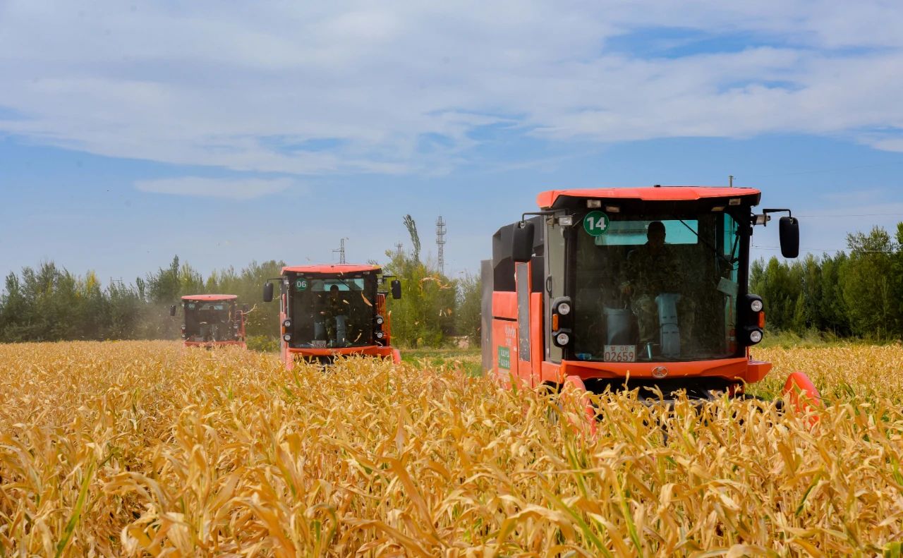 AGGAME种业公司：播撒“希望种” 耕耘“梦想田”