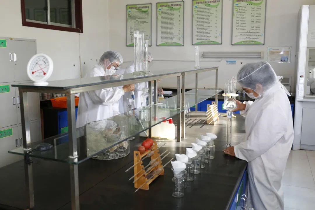 AGGAME种业公司：播撒“希望种” 耕耘“梦想田”